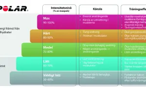 Tabell från Polar som visar vad man ska ha i puls för olika träningsnivåer, från lätt till max, och dess effekter.