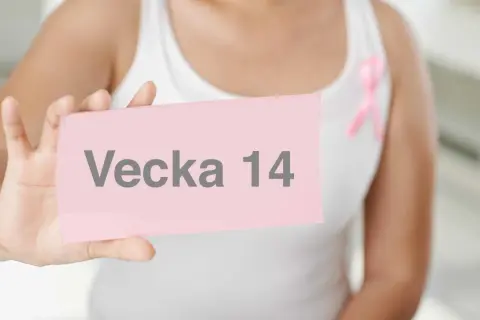 En person håller upp en rosa lapp med texten "Vecka 14". En rosa band pryder personens vita linne. Gravid vecka 14.