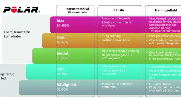 Tabell från Polar som visar vad man ska ha i puls för olika träningsnivåer, från lätt till max, och dess effekter.
