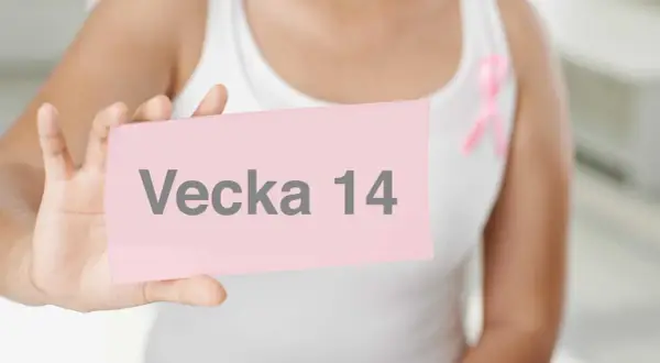En person håller upp en rosa lapp med texten "Vecka 14". En rosa band pryder personens vita linne. Gravid vecka 14.