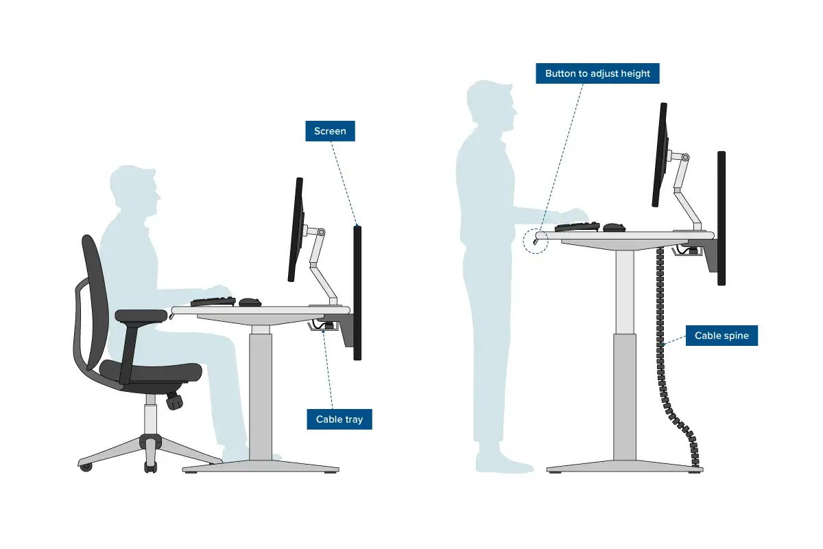 Illustration visar en person som sitter vid ett skrivbord och en annan som v&auml;ljer att st&aring; upp p&aring; jobbet. B&aring;da har en sk&auml;rm och tangentbord.