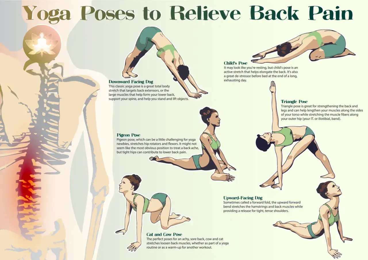 Yogaövningar för att stretcha rygg och lindra smärta. Illustrationer visar olika positioner som nedåtgående hund och barnets position.