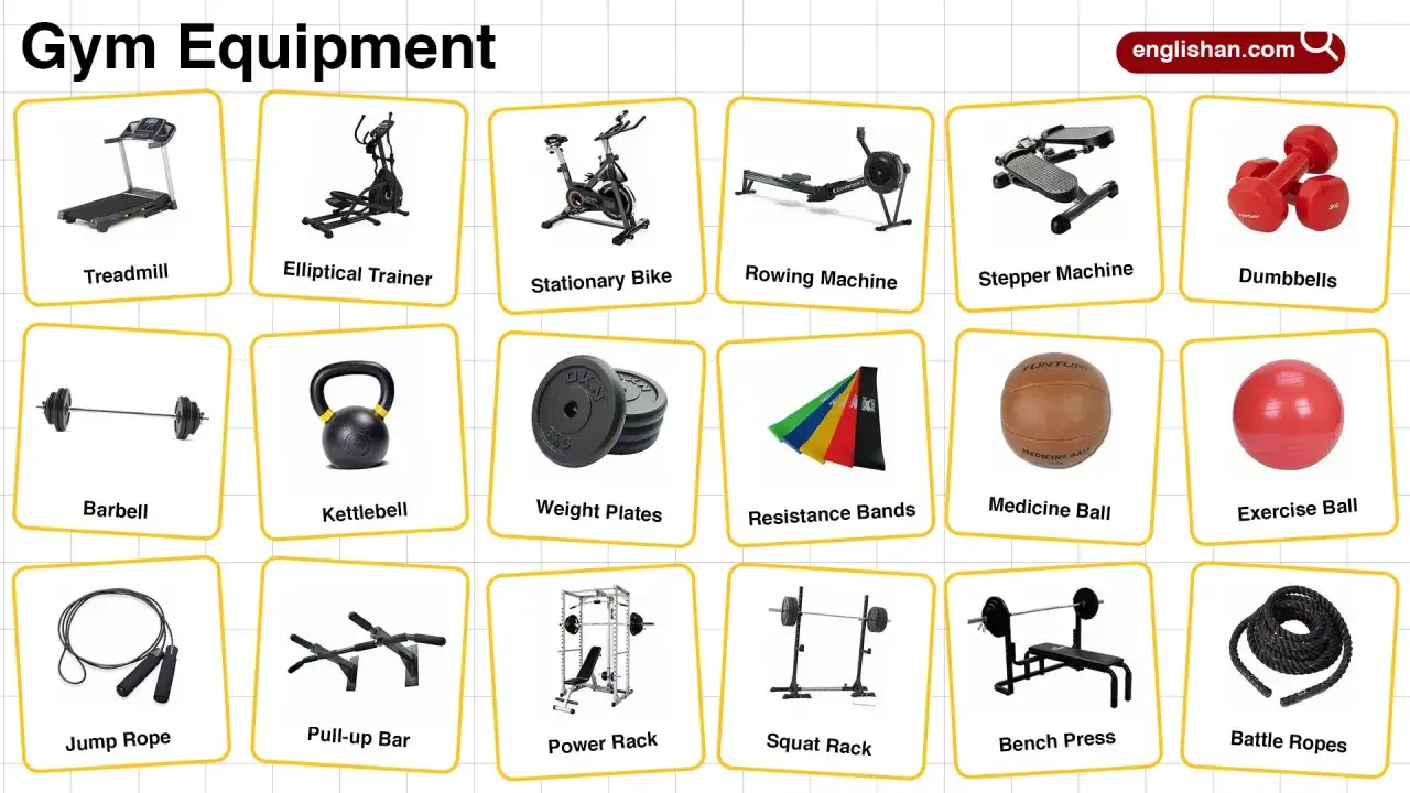 Bilden visar olika gymmaskiner namn: l&ouml;pband, crosstrainer, motionscykel, roddmaskin, stepmaskin, hantlar, skivst&aring;ng, kettlebell, viktskivor, motst&aring;ndsband, medicinboll, tr&auml;ningsboll, hopprep, pull-up bar, power rack, squat rack, b&auml;nkpress och battle r...