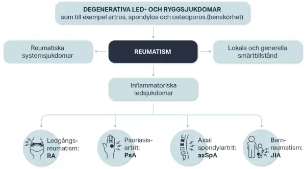 Diagram som visar olika reumatiska sjukdomar, inklusive degenerativa, inflammatoriska och systemiska tillstånd, samt smärttillstånd.